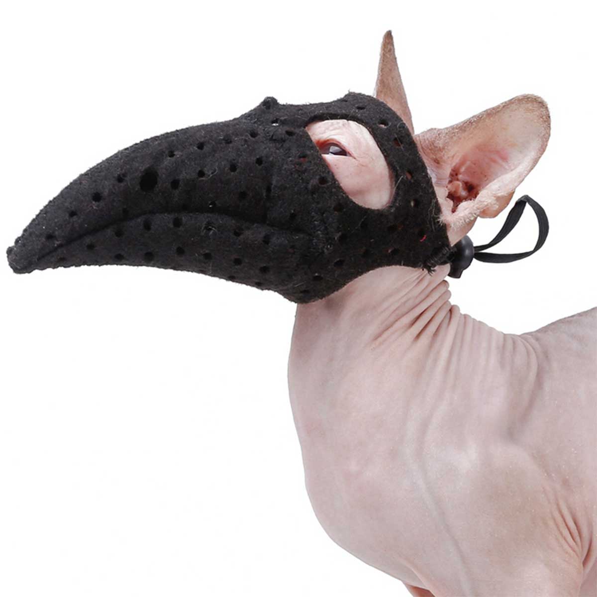 Pet Mouth Cover, Cat and Dog Anti-biting Muzzles Horror Halloween Transformation Mask with Bird Mouth Mask