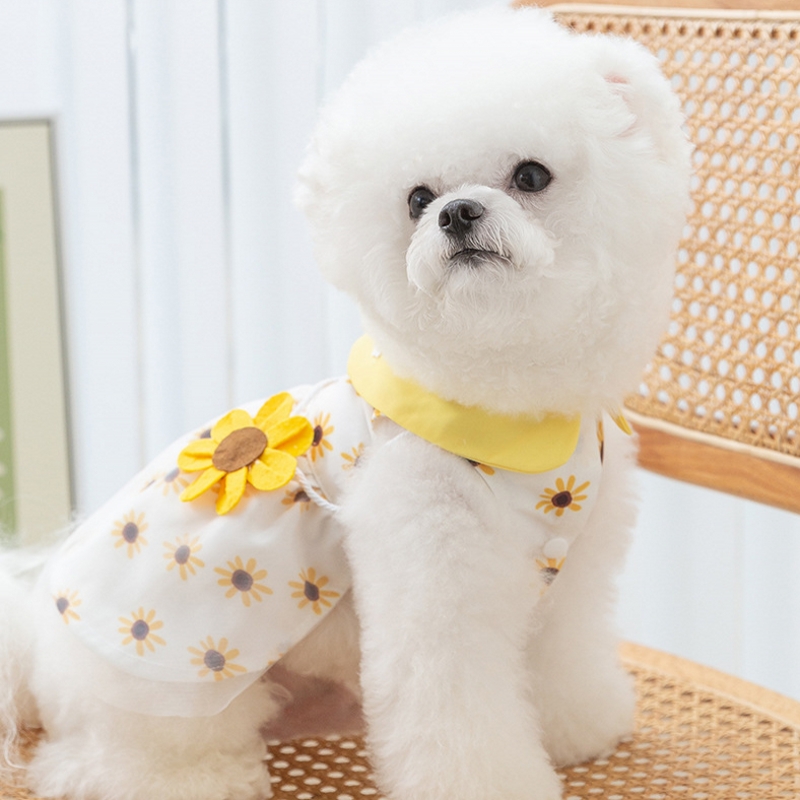 Lyx Hundkläder Hund Solrosklänning Sommar Hundkostymer Chihuahua Bichon Kjole