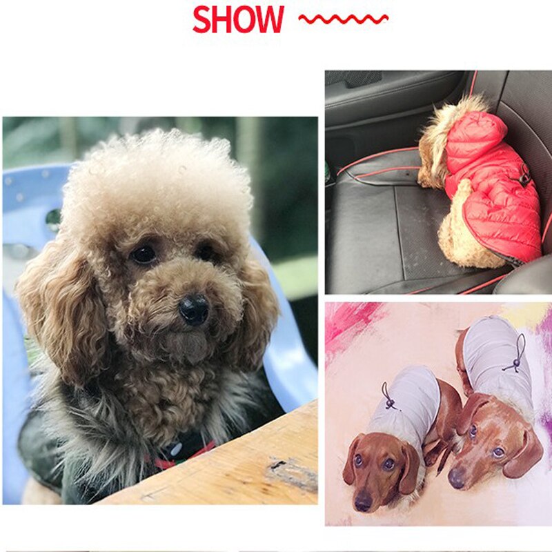 Lämpimät pienen koiran vaatteet talvikoiran takki takki pentuasut koiralle talvivaatteet lemmikkivaatteet