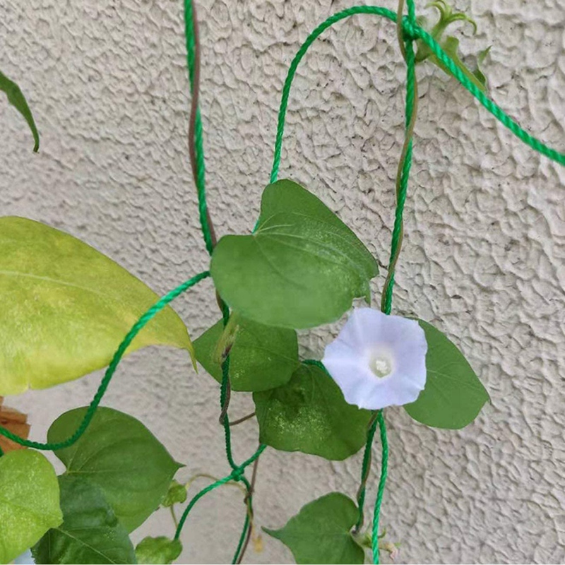 2Pack Garden Plant Trellis Plant Climbing Net Garden Netting for Cuber Vine Fruits Vegetables Tomato Climbing Plants