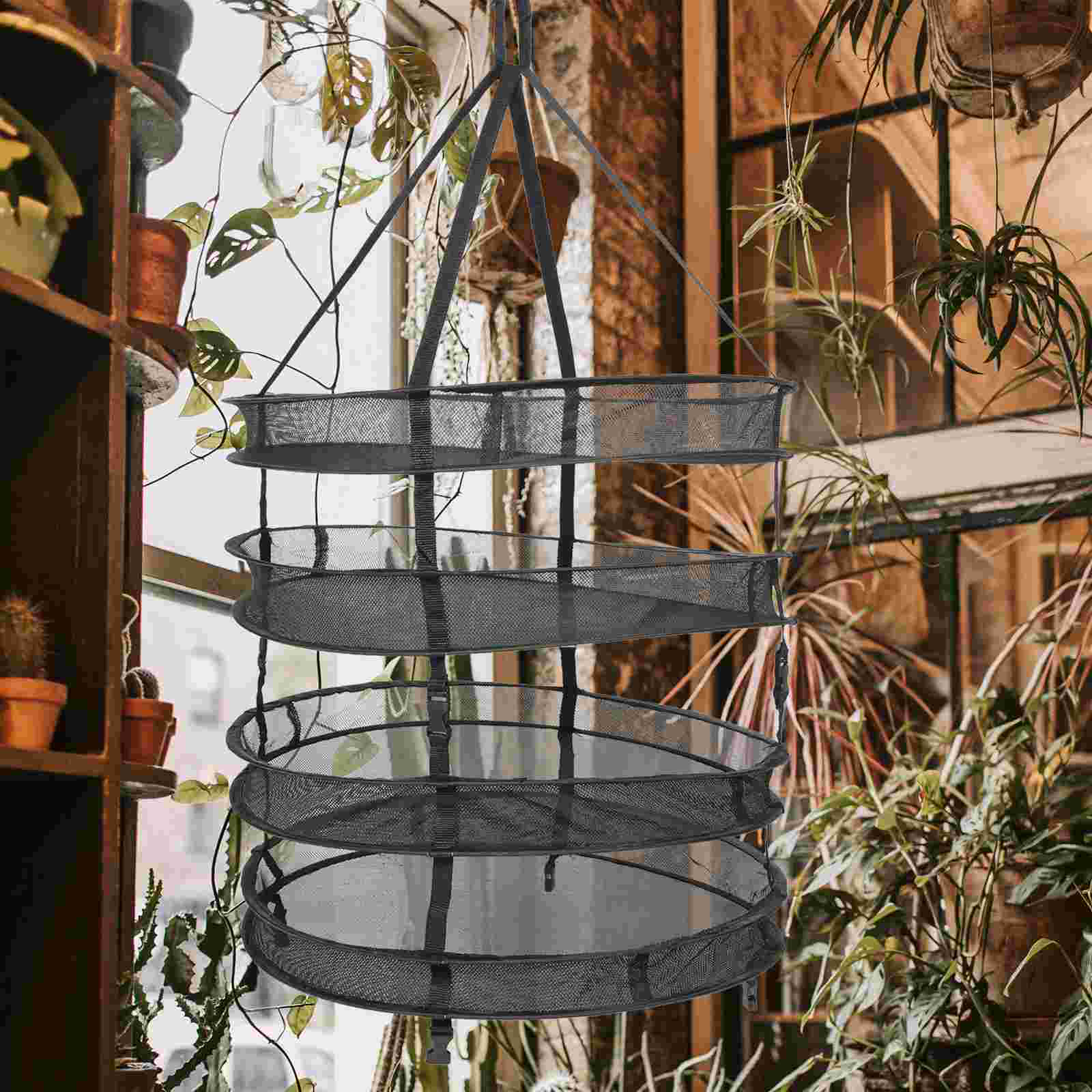 1Set Orchard Drying Net Drying Net Round Drying Net Herb Drying Rack for Garden Outdoor Home