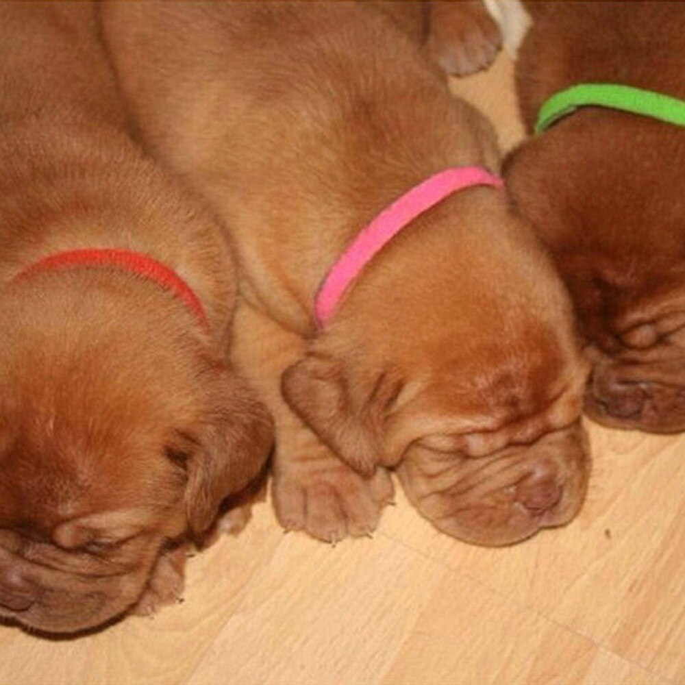 12 st valp hund kattunge id halsband nyfödda justerbara magic stick husdjur whelping id krage återanvändbara band justerbara uppfödare