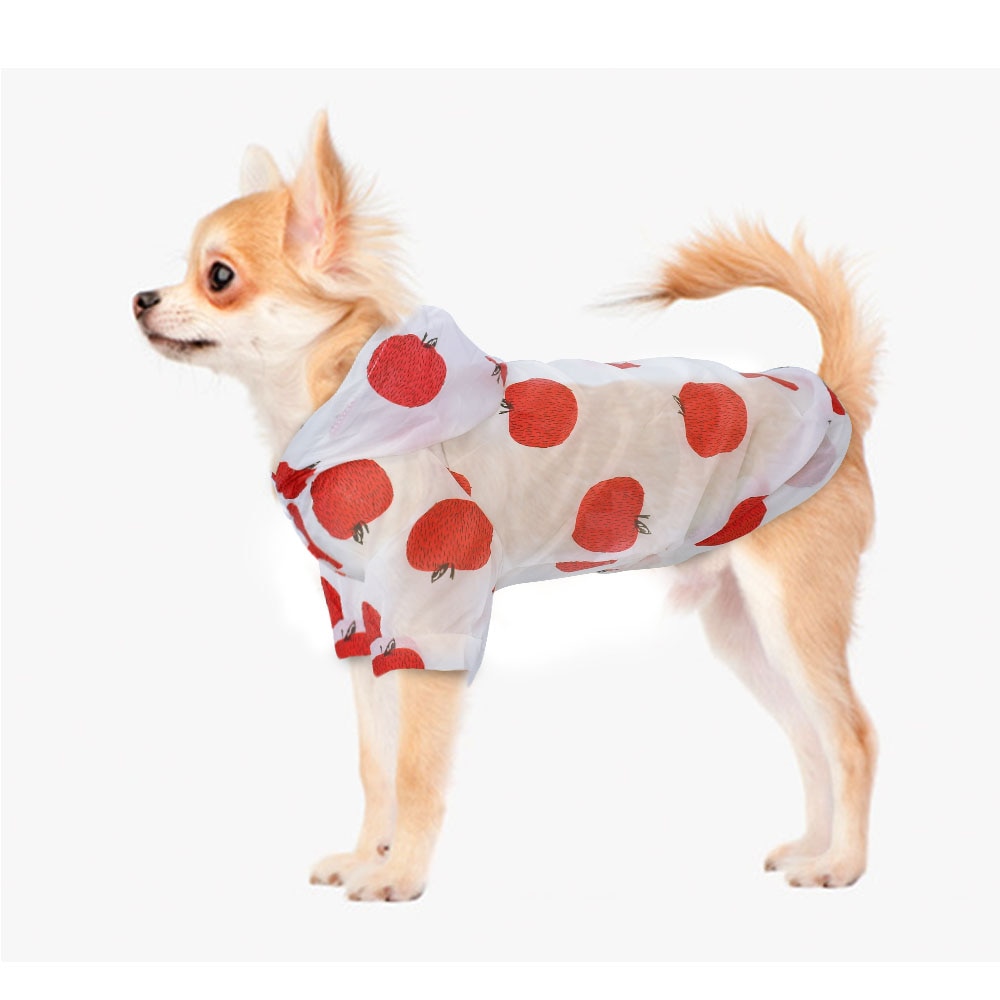 Sweat à capuche imperméable pour chien, vêtement d'été, Protection solaire, imprimé Poncho, pour petits et moyens animaux de compagnie, chiot, chat