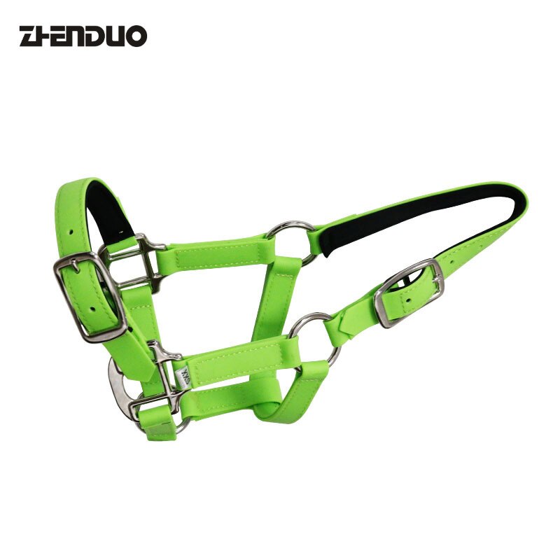 Imbracatura per cavalli