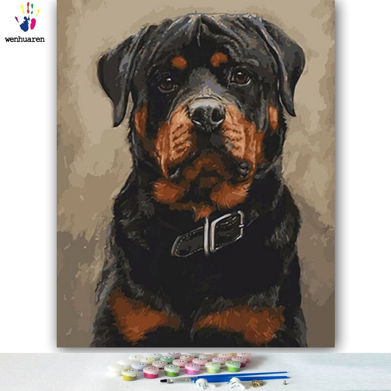 Gör-det-själv-färger bilder efter siffror med färger svart söt hund bild teckning målning av siffror inramade hem: 6621 / 30 x 45cm på ram