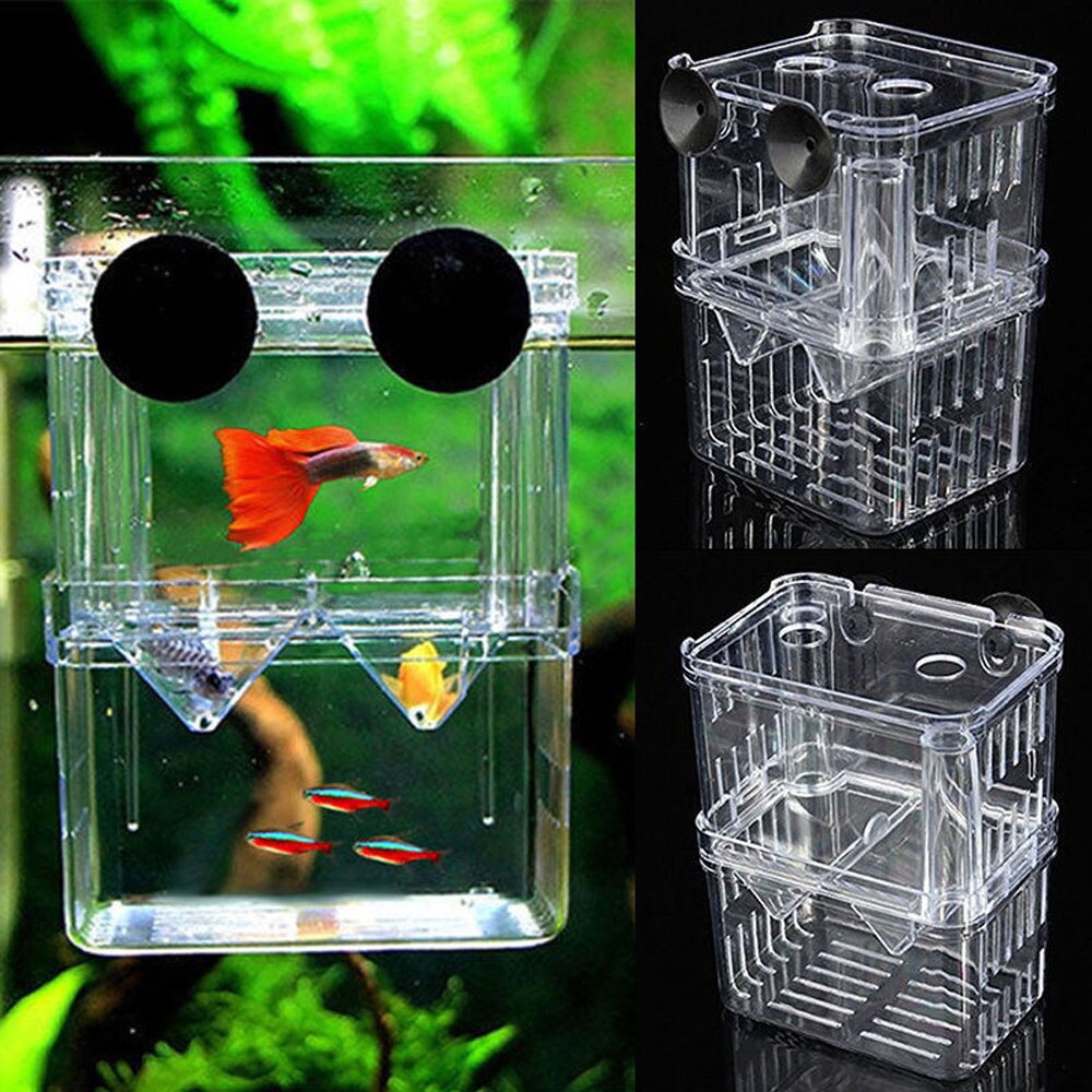 Clear Acrylic Fish Breeding Isolation Box Fish Tank Aquarium Breeder Box Double Guppies Hatching Incubator Aquarium Pet Supplies
