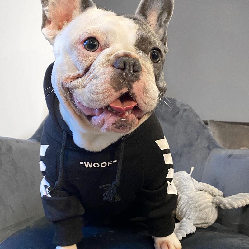 Dog Hoodie Winter Pet Dog Clothes For Dogs Coat Jacket Cotton Ropa Perro French Bulldog Clothing For Dogs Pets Clothing