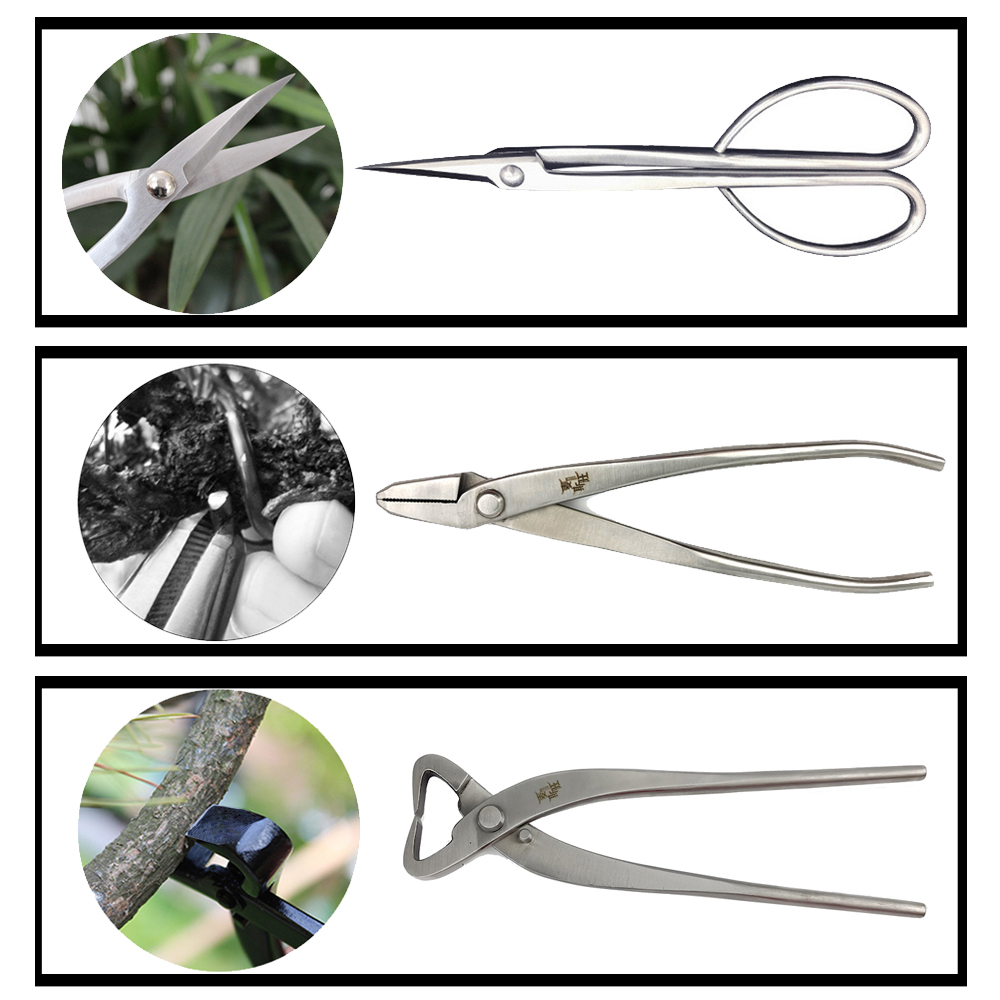 Herramienta de corte de poda de bonsái de acero inoxidable, tijeras para plantas y árboles, cortador de alambre para herramientas de poda de jardín