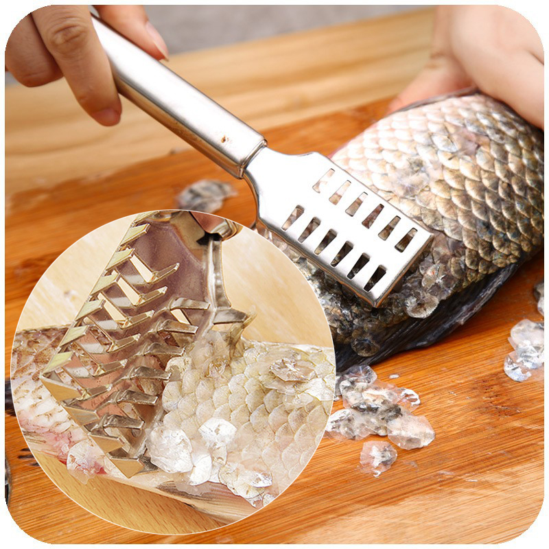 Ustensiles de cuisine ménagers | Outil de cuisine en acier inoxydable, racloir balance manuel de cuisine, brosse à gratter, outils pour enlever les fruits de mer, accessoires