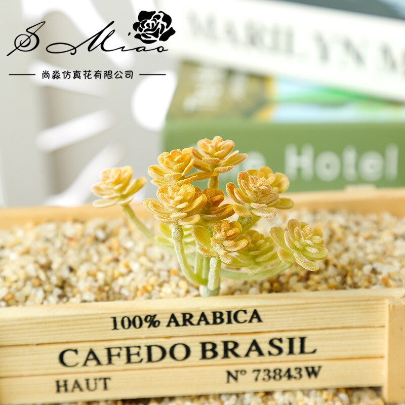 Sztuczna flokowana sukulenty DIY robić przydomowego ogrodu biuro dekoracje ślubne mini bonsai Plante wesele roślina dekoracyjna: xianrenke ZRorange y