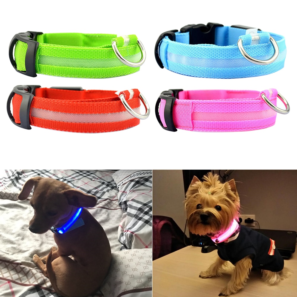 Led collier de chien Anti-perte Accident de voiture éviter collier collier pour chiens chiots chien chats colliers lumineux fournitures pour animaux de compagnie