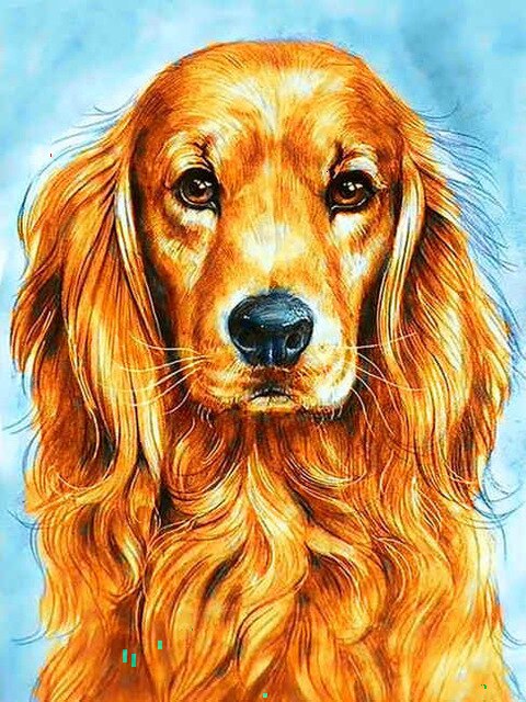 HUACAN Painting By Numbers Animal Kits Drawing Canvas DIY HandPainted Dog Pictures Art Home Decor: SZHC1-1856