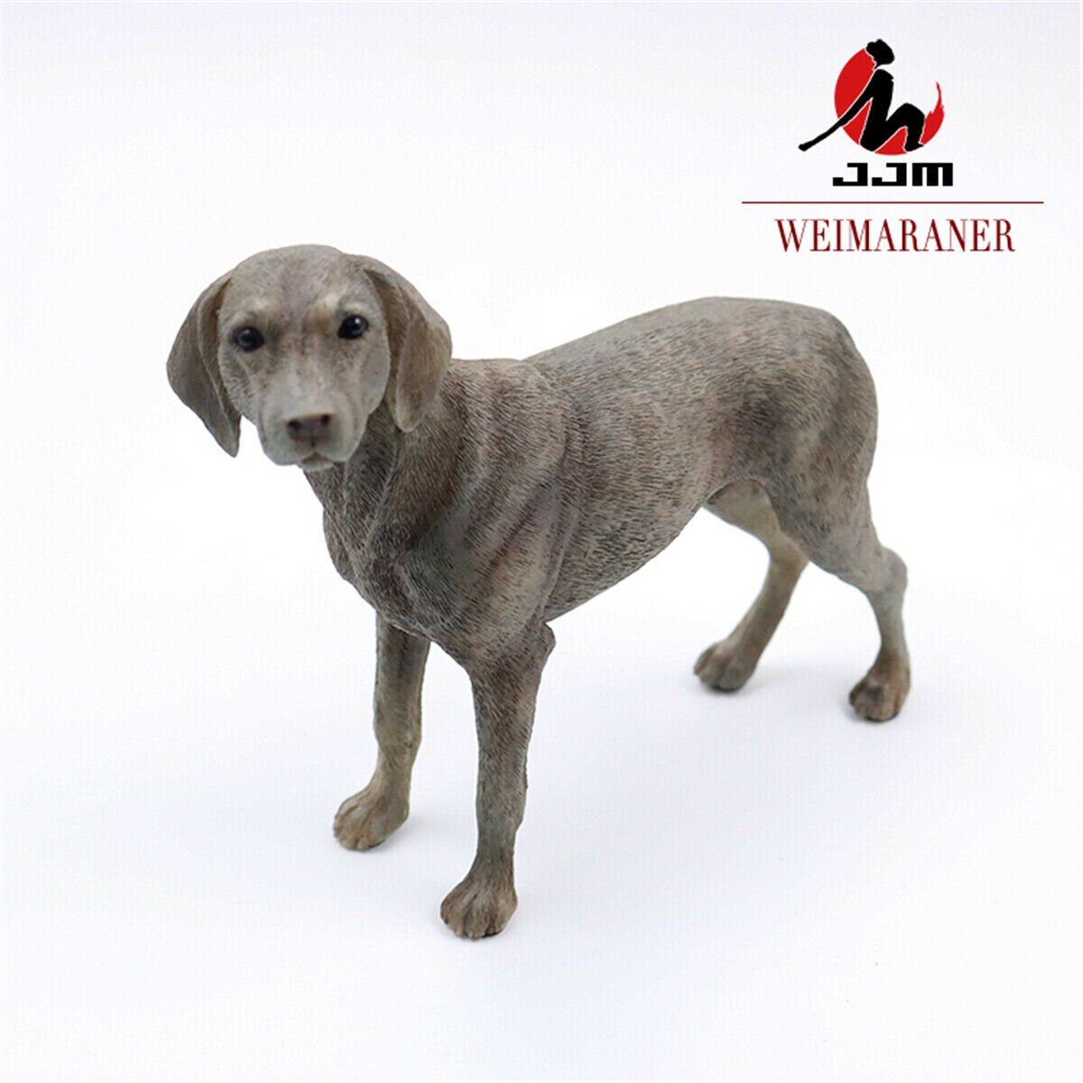 Jjm tysk weimaraner hund modell kjæledyr dyr figur leketøy samler dekorasjon pvc modell pedagogisk til låve voksne låve: misligholde tittel
