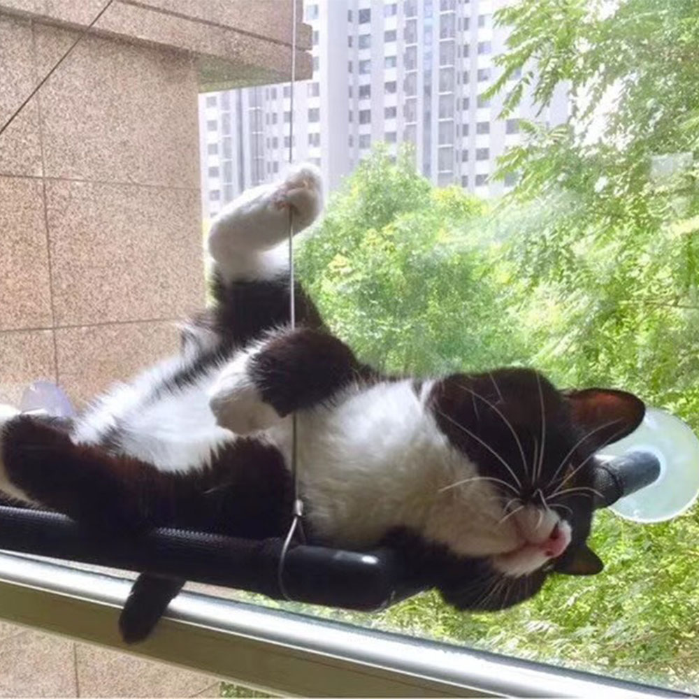 Hamac d&#39;intérieur avec fenêtre pour chat, siège solaire à 360 °, support de repos amovible, étagère permettant de gagner de l&#39;espace, lit pour chat, jusqu&#39;à 38lb