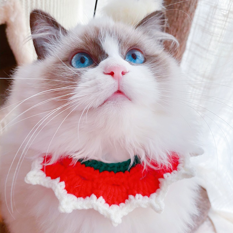 Écharpe de noël pour chien et chat, collier tricoté, rouge, vert, cloche, Bandana, Costume de noël pour chiot
