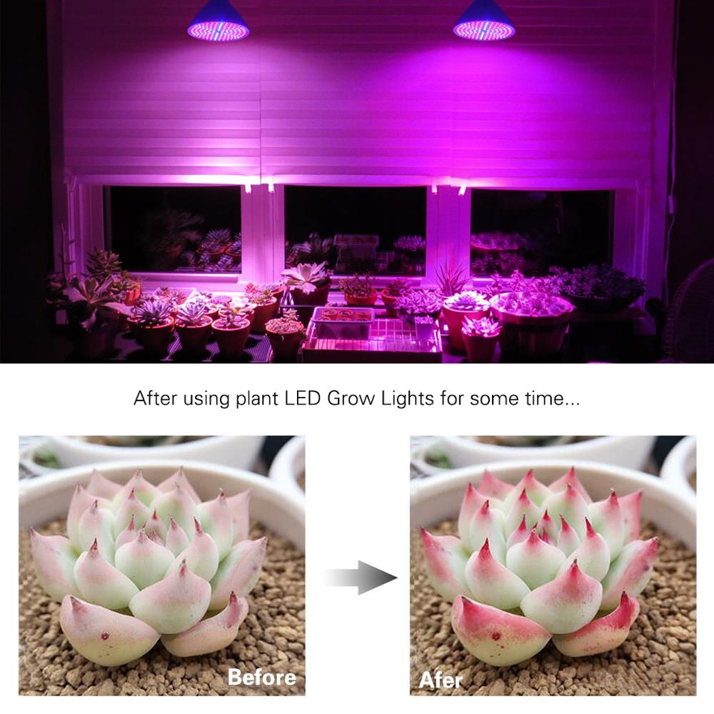 Lámpara LED de cultivo hidropónico para invernadero lámpara LED de 60, 126 y 200 leds para plantas suculentas y flores, Bombilla de AC85V-265V E27 para invernadero de interior