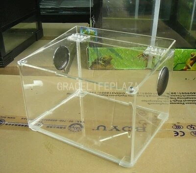 Boîte en acrylique Y001 grimpe à l'animal, boîte amphibie, boîte pour animaux de compagnie
