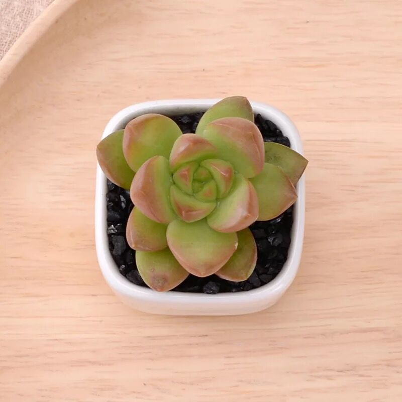 Ceramic Square Geometric Flowerpot Simple Succulent Plant Container Green Planters Small Bonsai Pots Home Decoration