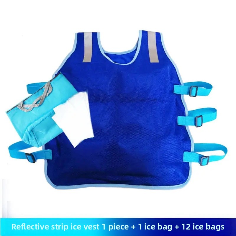 Summer Cooling Vest Ice Bag Vest Outdoor Heatstroke Prevention Clothing Men's Vest Cold Relief Essential Tool: PURPLE