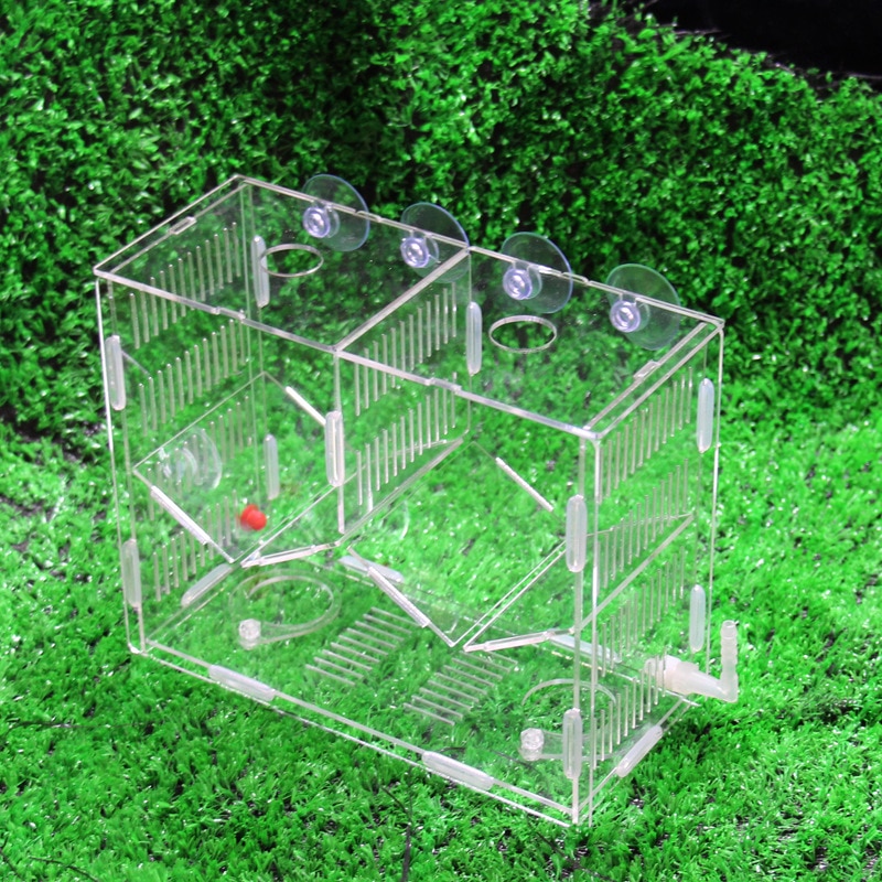 Peacock breeding box acrylic fish tank peacock hatching box breeding box fry isolation box