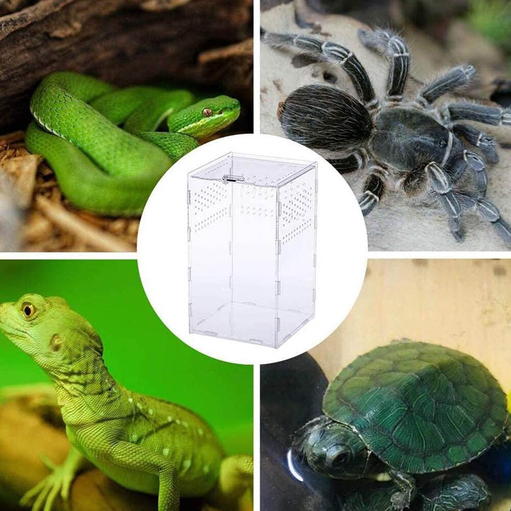 Terrario de insectos para araña, lagarto, cuerno de escorpión, terrario para reptiles acrílico, caja de cría de mascotas transparente