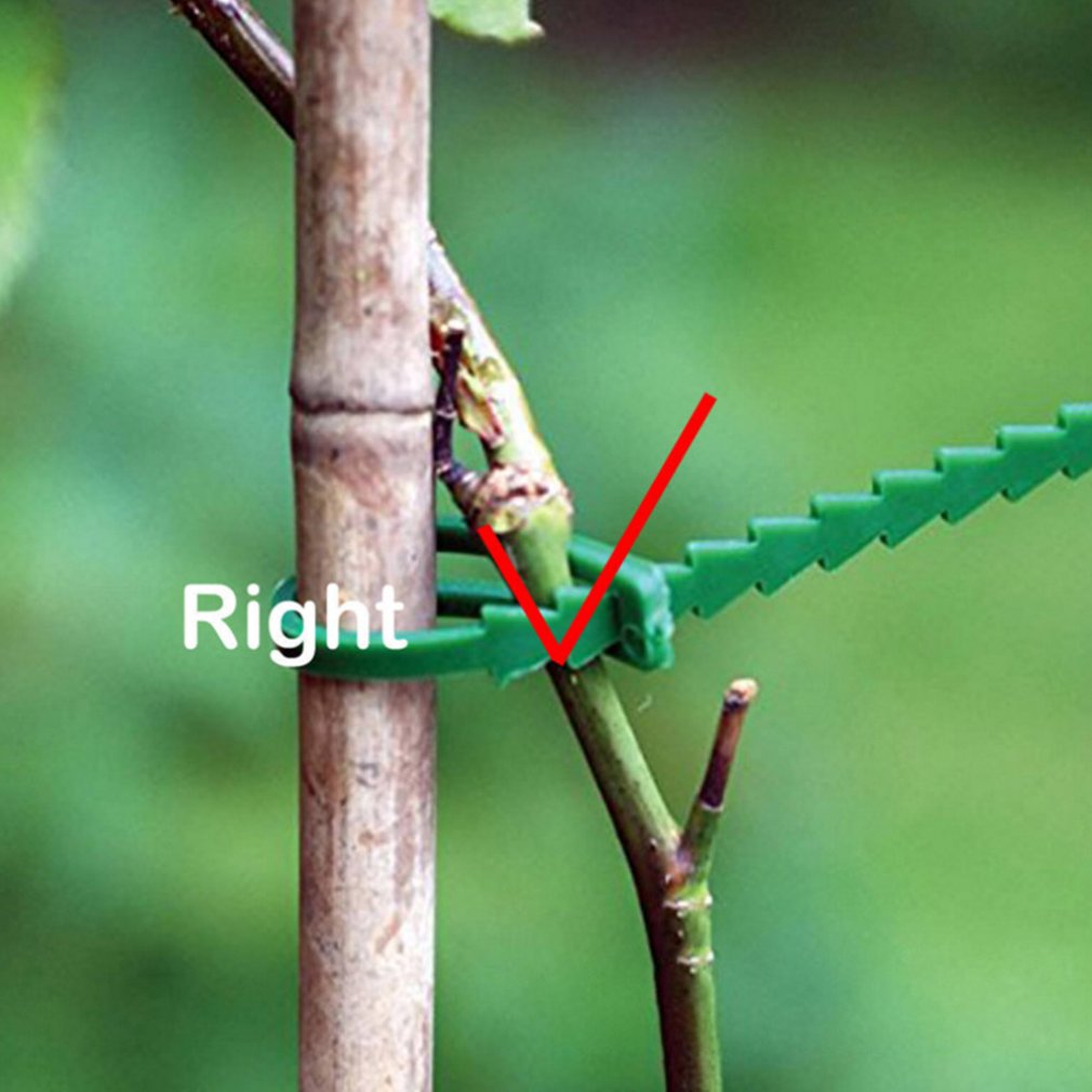 50 multi-purpose green garden lashing straps, self-locking plastic nylon garden wire ties, gardening fishbone ties