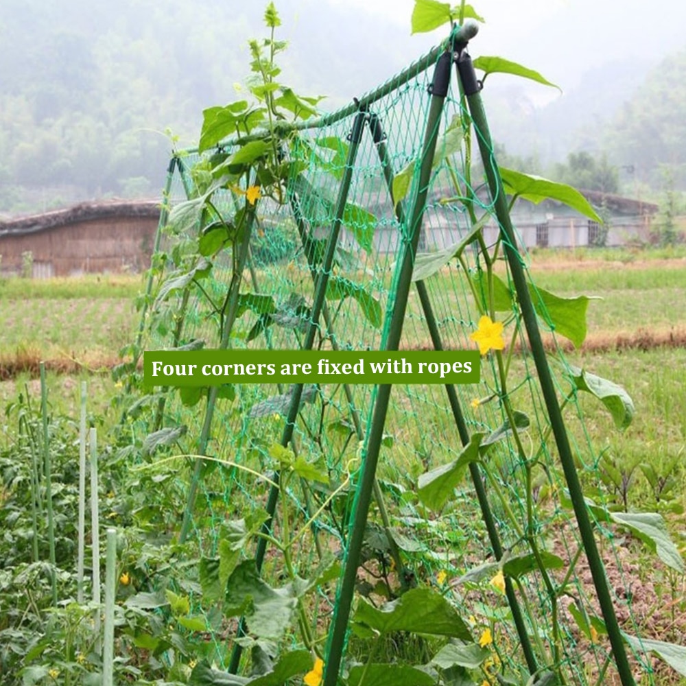 Muti-size Green Garden Plants Climbing Net Plastic & Nylon Plant Grow Net Flower Vine Netting Support Net Holder Garden Netting