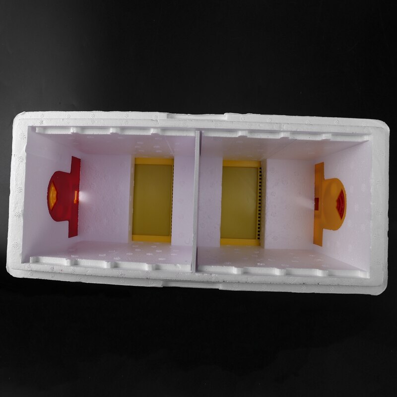 Colmena de abeja multifuncional, Material de espuma de plástico, caja doble, herramienta de apicultura para cría de abejas Queen