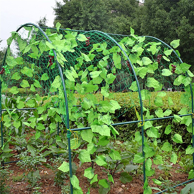 Flower Vegetable Plant Fruit Climbing Frame Garden Bodysuit Green Garden Fence Mesh Plant Vines Climbing Network