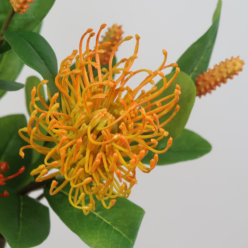 artificial Pincushion Flower Tropical Fox Tail Flower DIY wedding home floral decor
