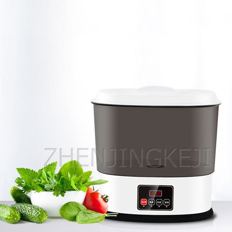 Fruit And Vegetable Detoxification Machine Home Use Food Purifier Disinfection Washing Machine Fully Automatic Ozone Sterilizer
