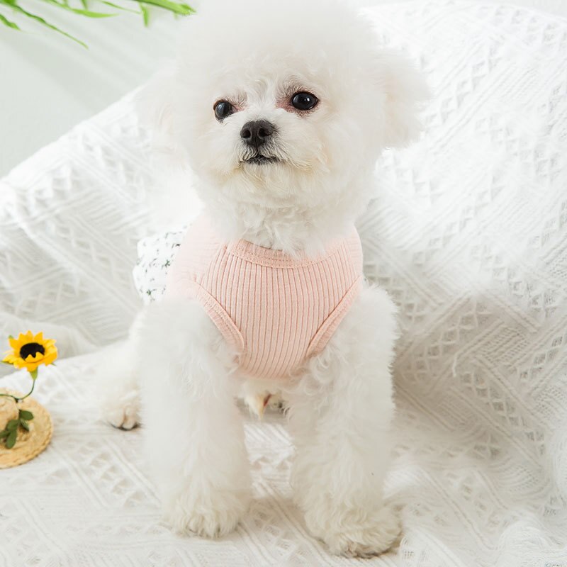 Lente En Zomer Hond Kleren Teddybeer Rok Bloemen Rok Kat Hond Jurk Jurken Voor Hond Hond Rokken