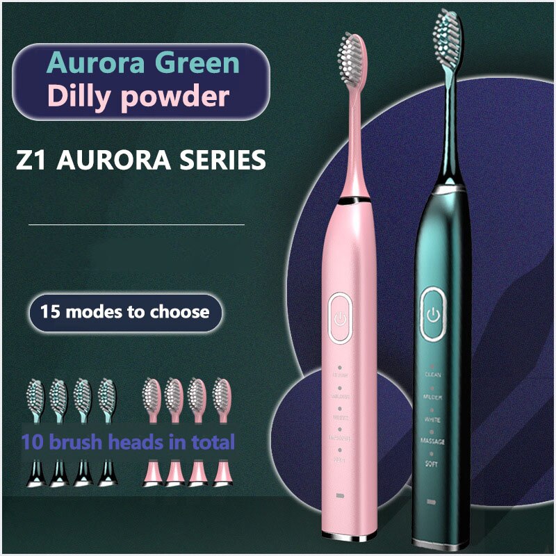 Sonic Electric Toothbrush 5 modes and 15 gears USB Charger Adult timer Brush Tooth Brushes 10 Replacement Heads Teeth Whitening: 10