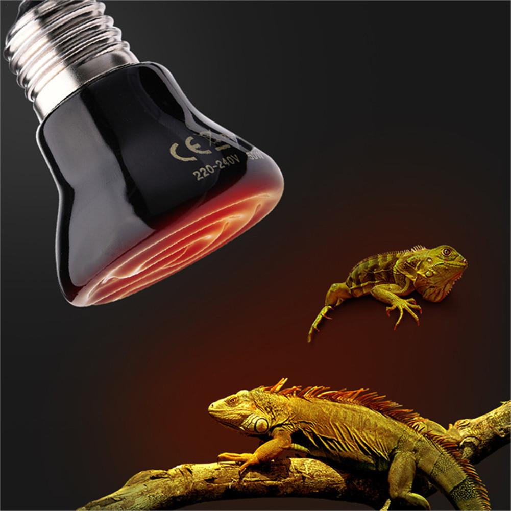 Lámpara calefactora de cerámica con infrarrojos lejanos para mascotas, calefactor para Reptiles, tortugas y lagartos, de 25W/50W/75W/100W 220V, E27
