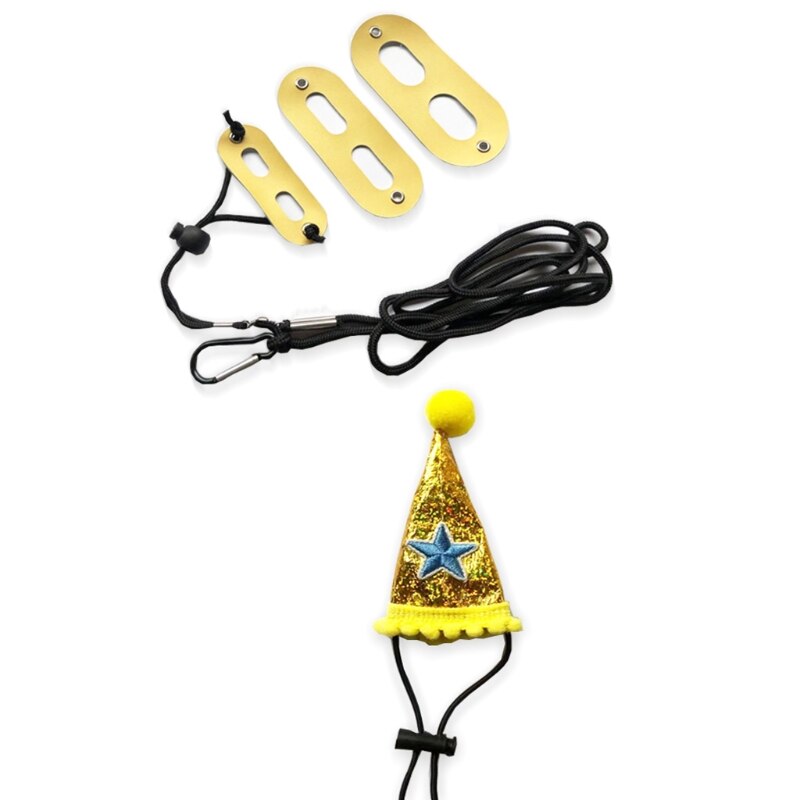 Baardagaam Verjaardag Hoed Leash En Harnas Van Baby Tot Juveniele Verstelbare Lederen Hagedis Walking Leash Sml 3 pack Y5GB: 04