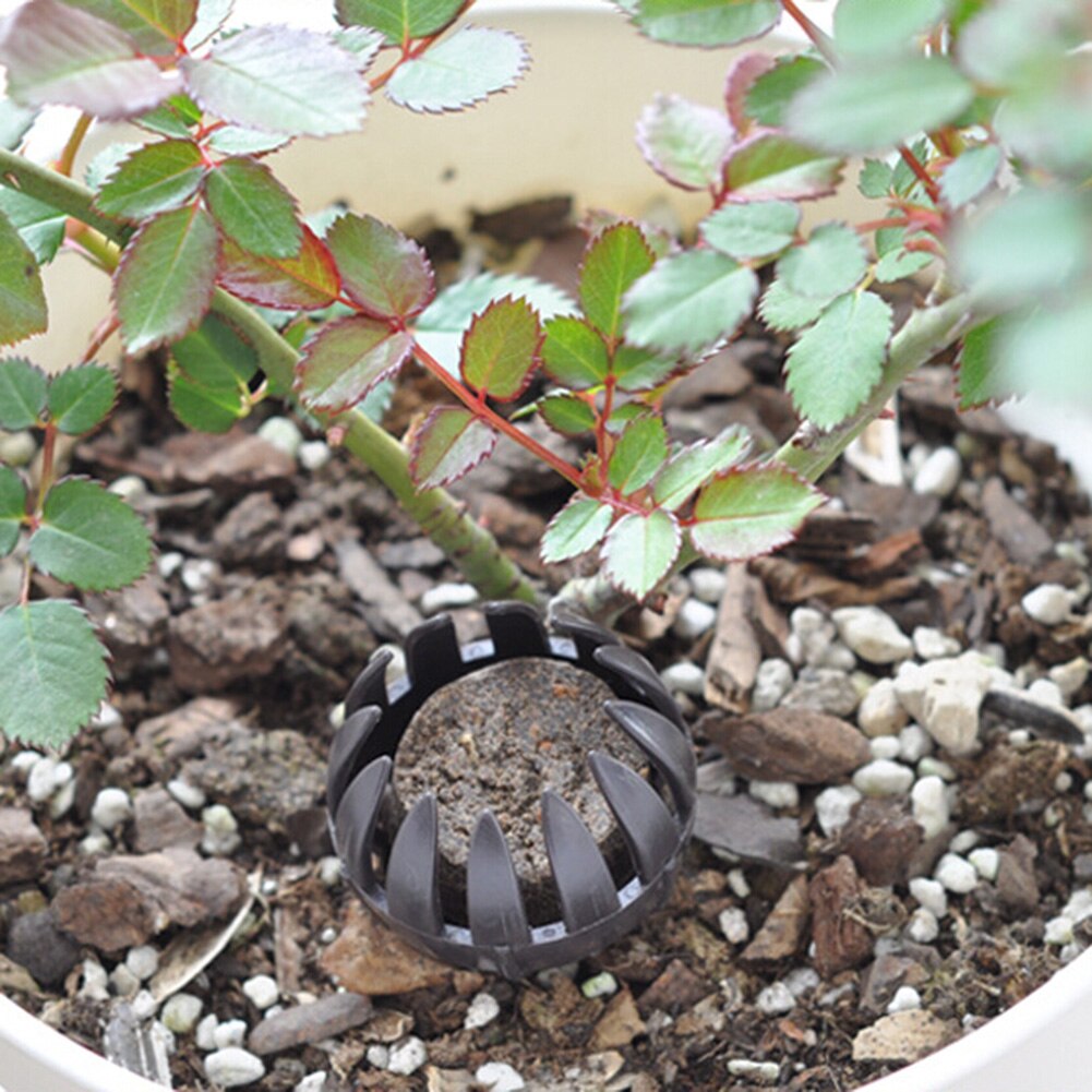 10Pcs of potted potted plastic fertilizer boxes for jade fertilizer, slow release and controlled release fertilizer boxes