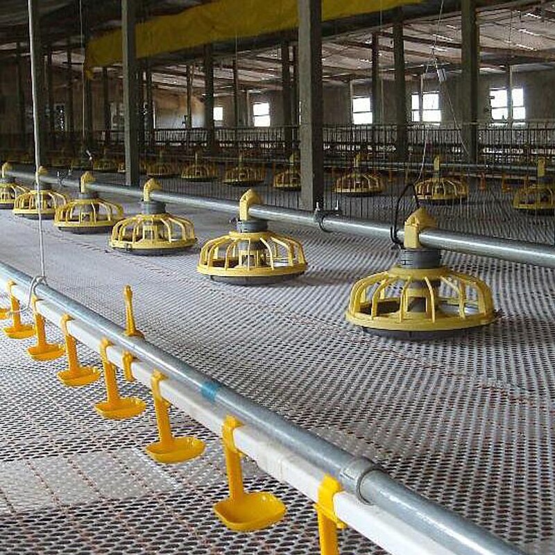 Cubo de alimentación automático de Material para pollos, línea de ensamblaje para granja avícola, ingeniería de automatización, bandeja de plástico, 1 unidad