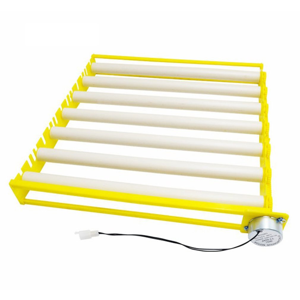 Accessoires pour incubateur d'œufs en plastique, plateau à œufs rotatif automatique et Durable