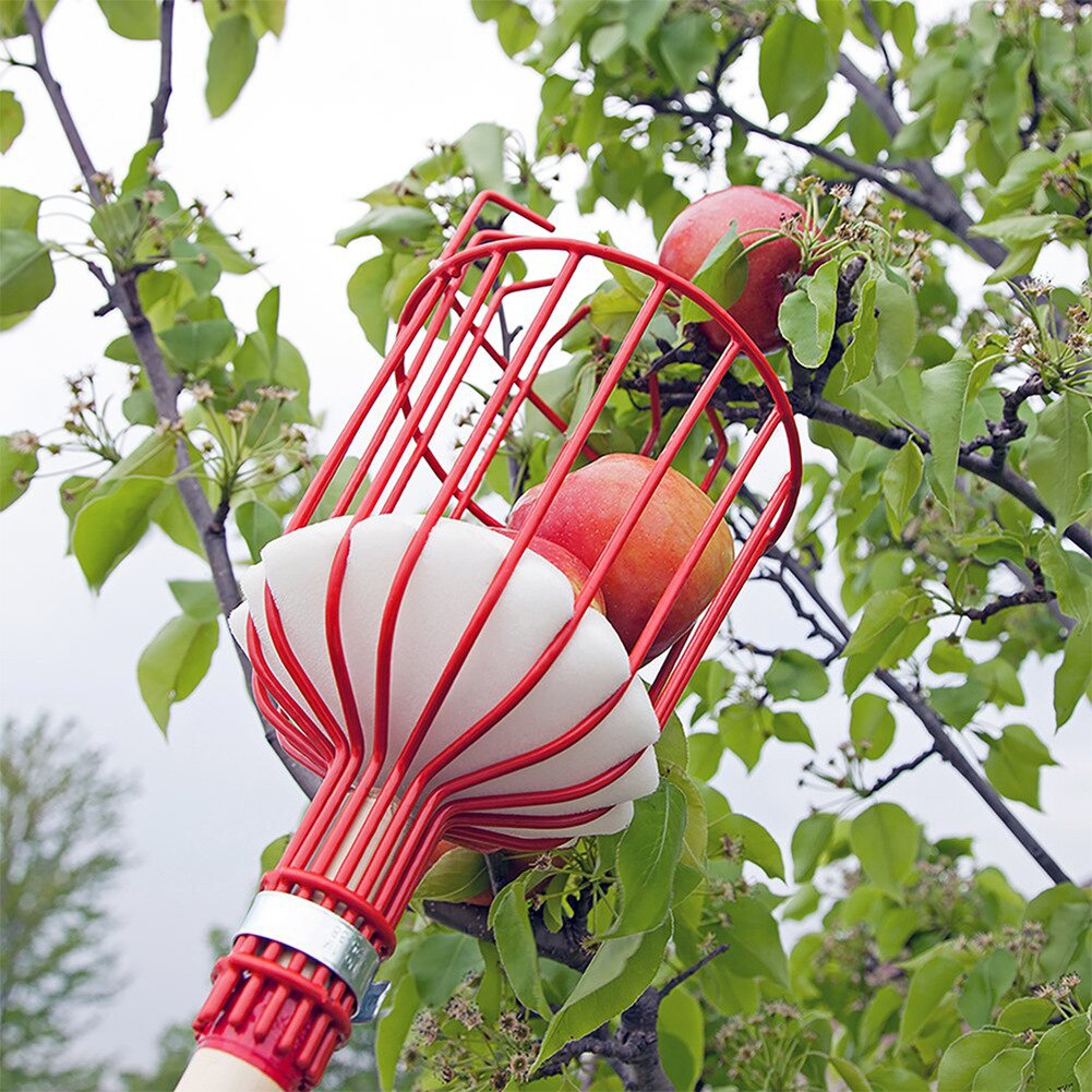 Herramienta de recolección de frutas de Metal para invernadero, recogedor de melocotones y manzanas de color naranja, cesta profunda de aluminio para exteriores, herramientas de jardín