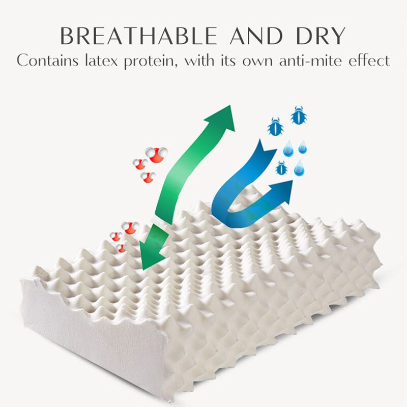 Orthopedi poduszka lateksowa masaż czysty naturalny tajlandia szyi poduszki robić spania chroń kręgi opieka zdrowotna poduszka ortopedyczna Audlt