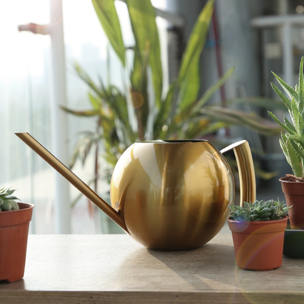 1500ml Edelstahl Gießkanne Bonsai drinnen Pflanzen Wasser Topf Mit Langem Auslauf