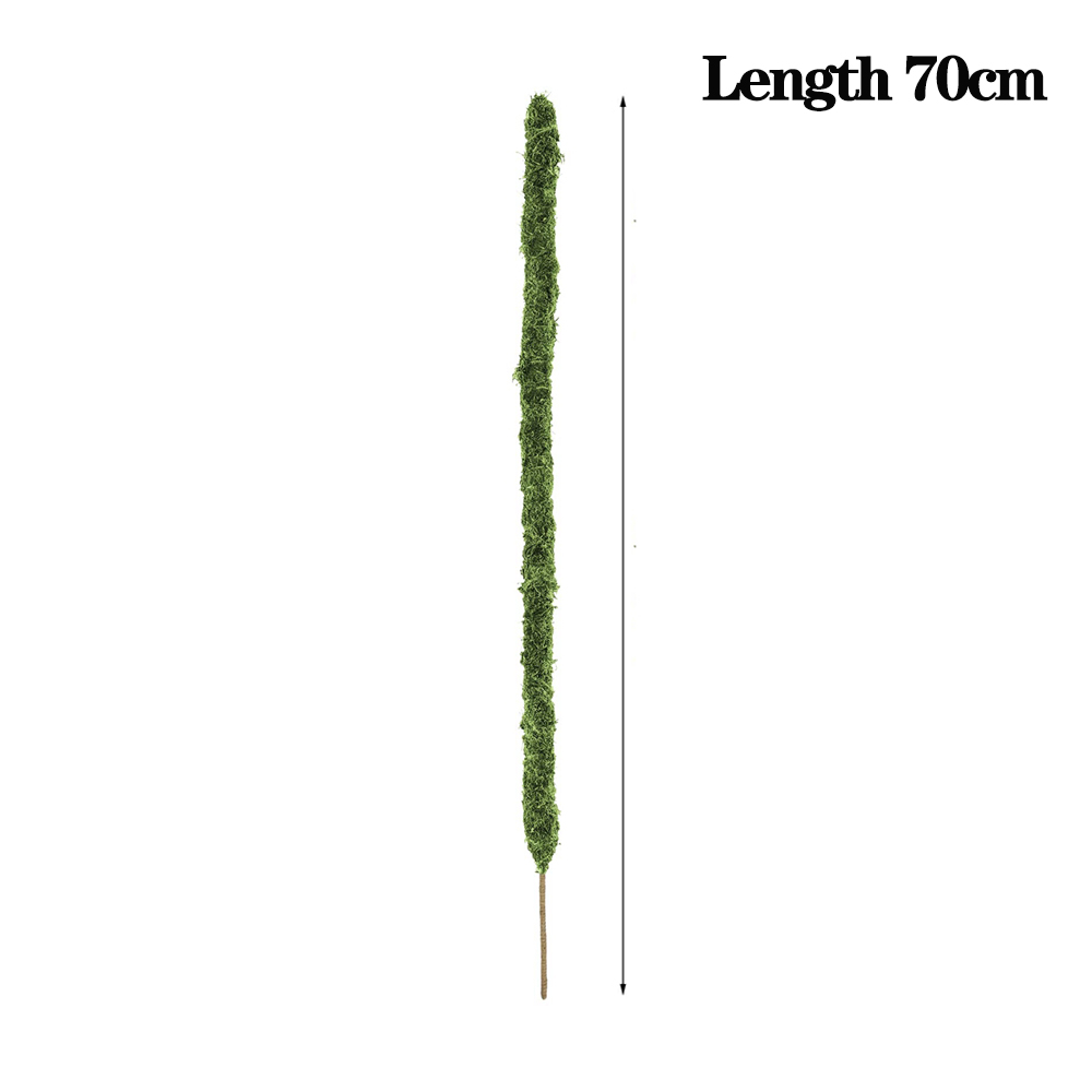 Mospaal Buigbare Plant Stakes Handgemaakte Slanke Monstera Plant Ondersteuning Mos Plant Sticks Ondersteuning voor Grote Indoor Pot: Zilver