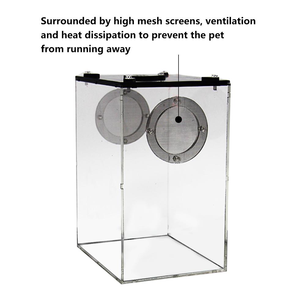 Boîte d'alimentation Reptile acrylique Transparent Panorama insecte nichoir serpent araignée lézard Scorpion boîte d'alimentation