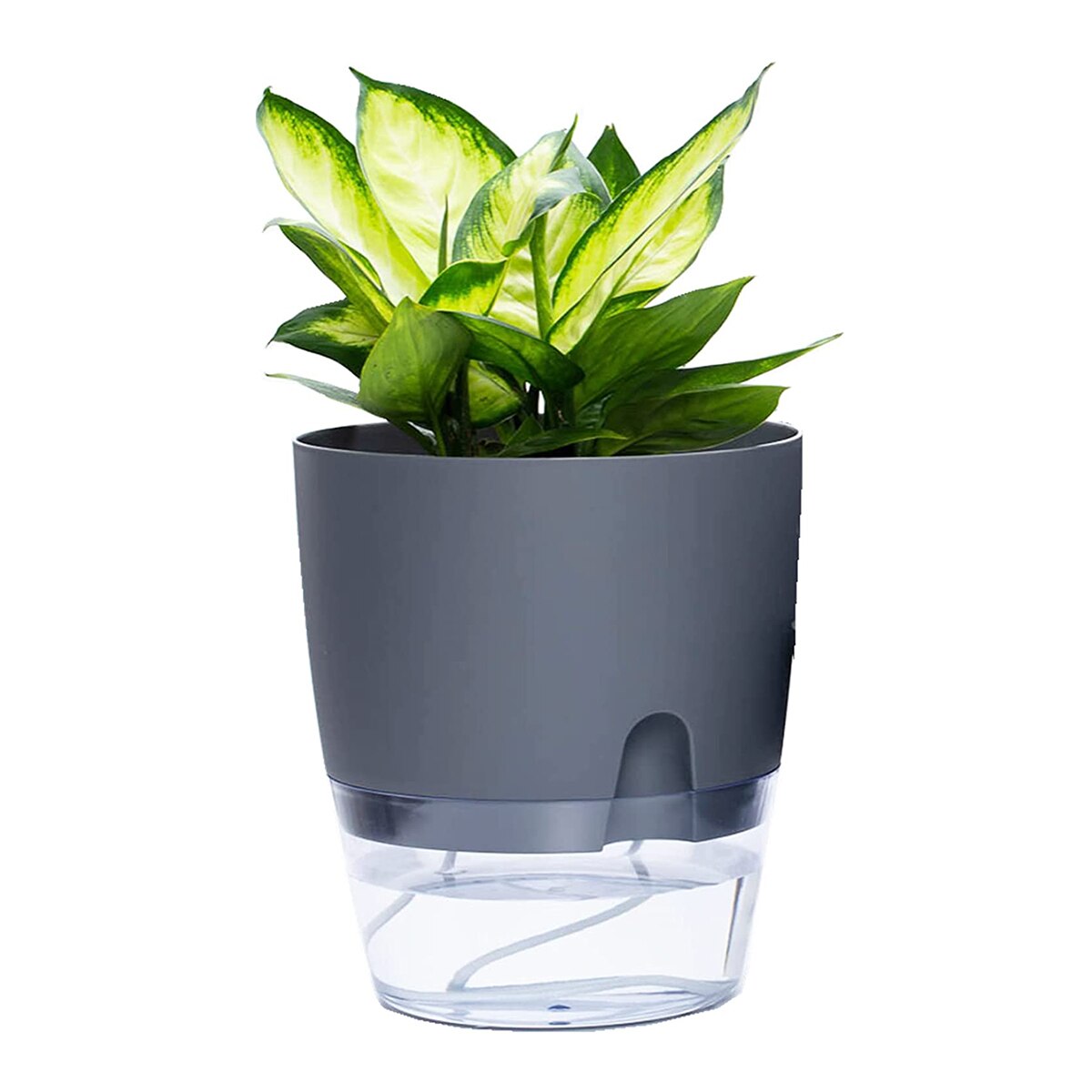 2 Layer Watering Planter Lazy Self Watering Pot Automatic Succulent Container for Flower Plant Indoor Supplies White Gray: gray 23.5cm
