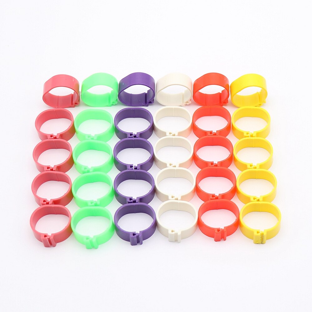 300Pcs 16Mm Pluimvee Voet Ring Kip Eend Gans Vogels Voeden Levert 6 Kleuren