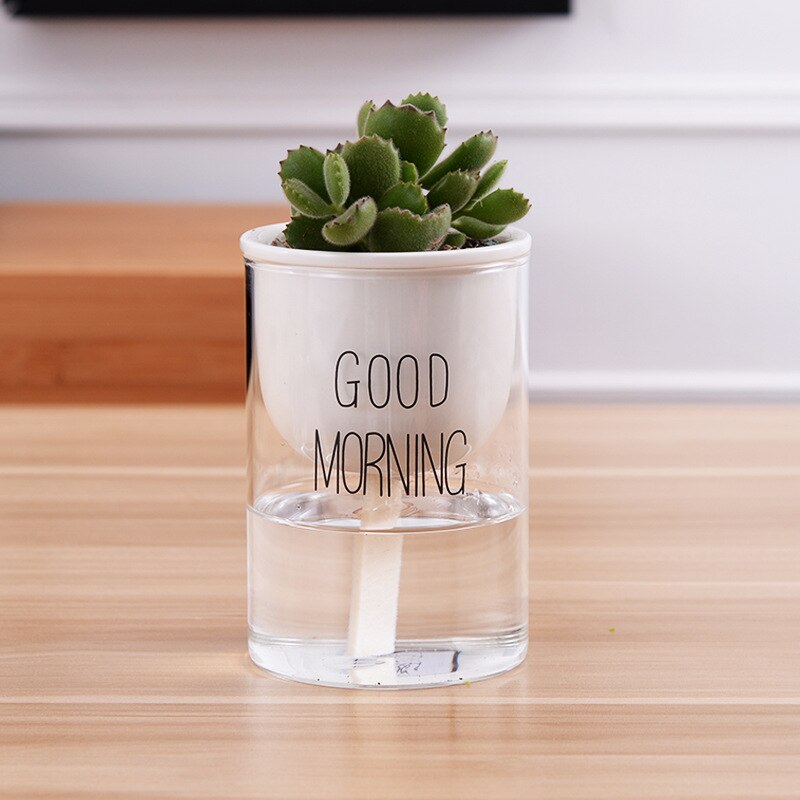 1pc Automatic Watering Planter Pot Ceramic Flowerpot with Glass Water Container for Green Plants Succulent Plant Cactus: BL