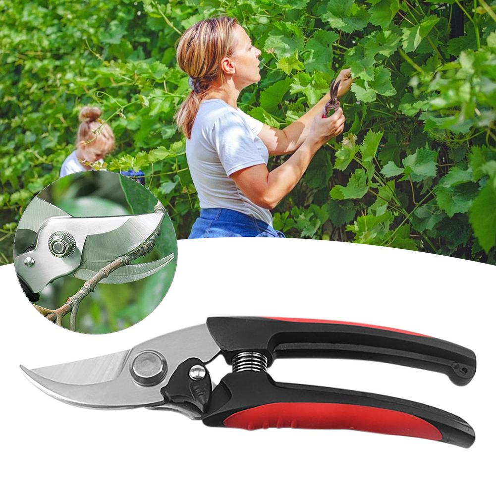 Shears Pruner Secateurs Pruning Scissors Pruning Shears Shrub Anvil Branch Shear Orchard Pruning Shears Garden Scissor Tool