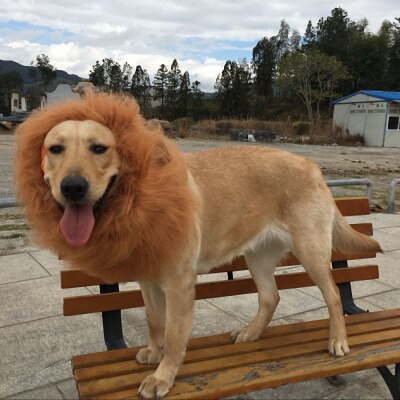 Hair Ornaments Pet dog Costume Halloween Clothes Fancy Dress Up Lion Mane Wig for Large Dogs supplies: light brown no ear