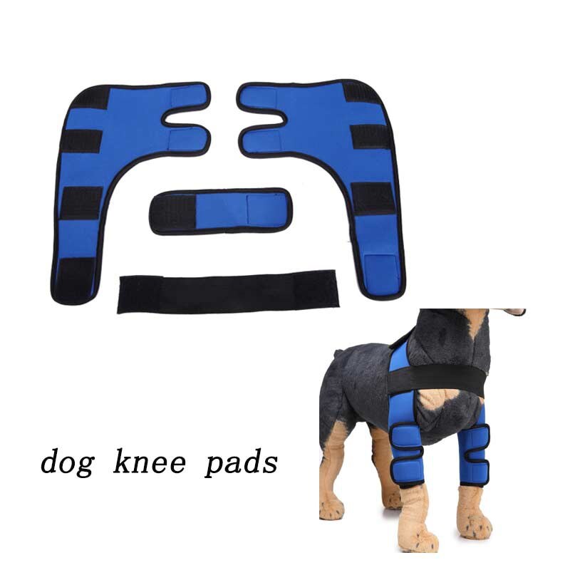Skydd knäledsskydd hund benstöd knäskydd hund hasstag verktyg hund bakben hasledslindning skyddar sårläkning