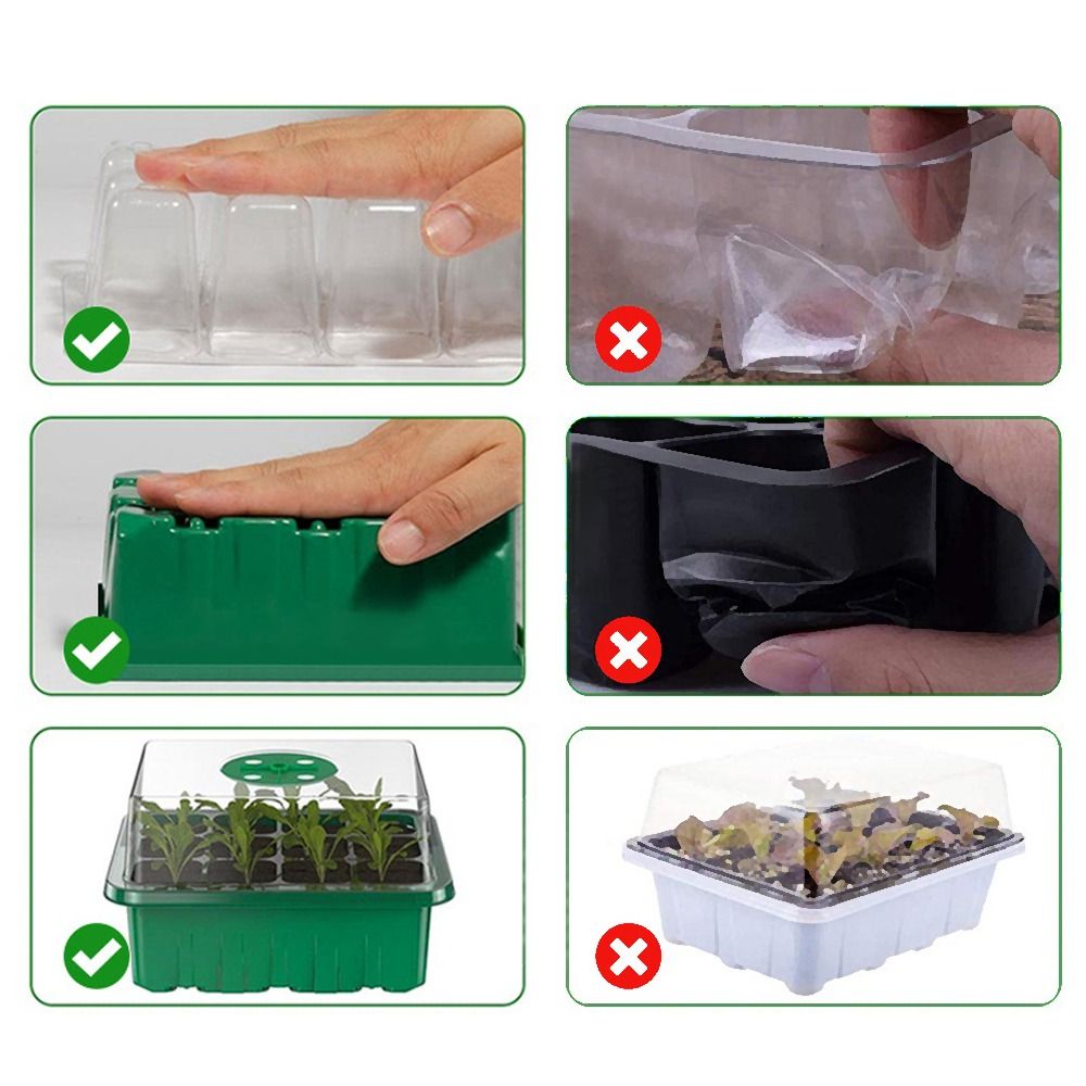 plateau de démarrage de graines à 6/12 grilles, Mini Base de Germination de plantes de serre, boîte de plantation de culture, Kit de démarrage de plantes, Kit de culture de graines